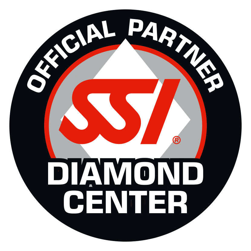 SSI diamond center